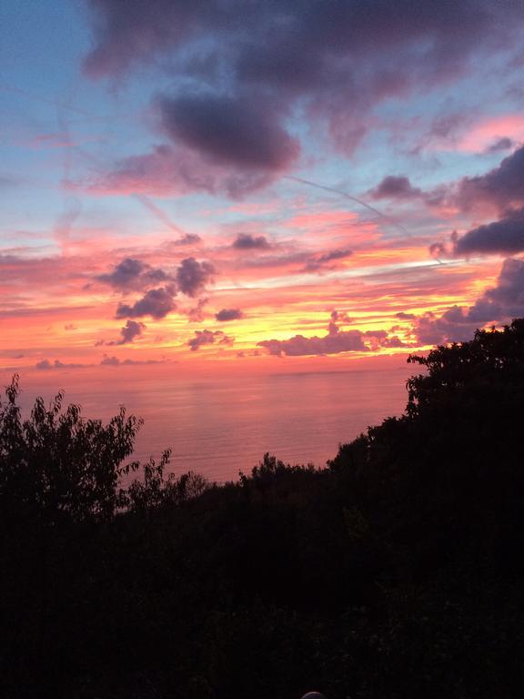 Agriturismo S.Ilario Villa Genova Værelse billede